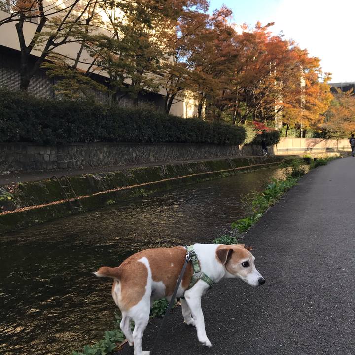 111f4536 368f 458a be83 3aeeefe51ac3 1573032803819