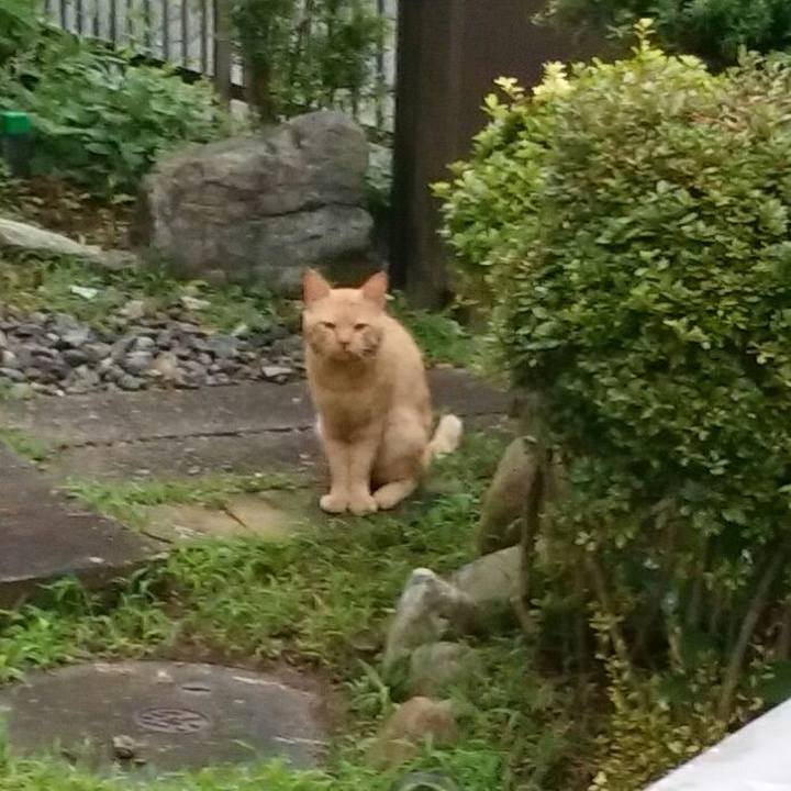 111f712b c8a1 4d6a ad6c cde84251c8ce 1595365395387