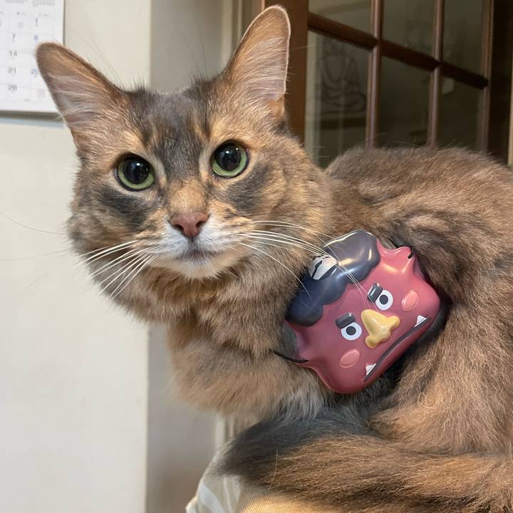 111fc1c2 c1ab 447a b4a4 66d4e3ca3f3d 1738495817344