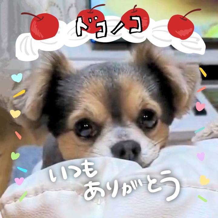 111fc4f0 f1d5 4bc8 8e24 aa511fe6e552 1685958716893