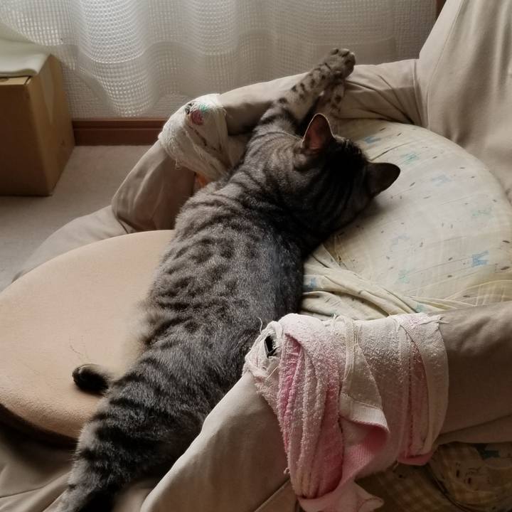 1120208e 0407 4140 ba0c 4e91bc802a9d 1689762094739