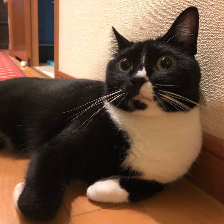 11205e9d 229f 49a9 85e9 c3292ebf8a00 1525730100589