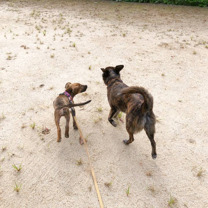 11207a04 32b2 4238 a2fd 8c354ef32c6a 1567756085386