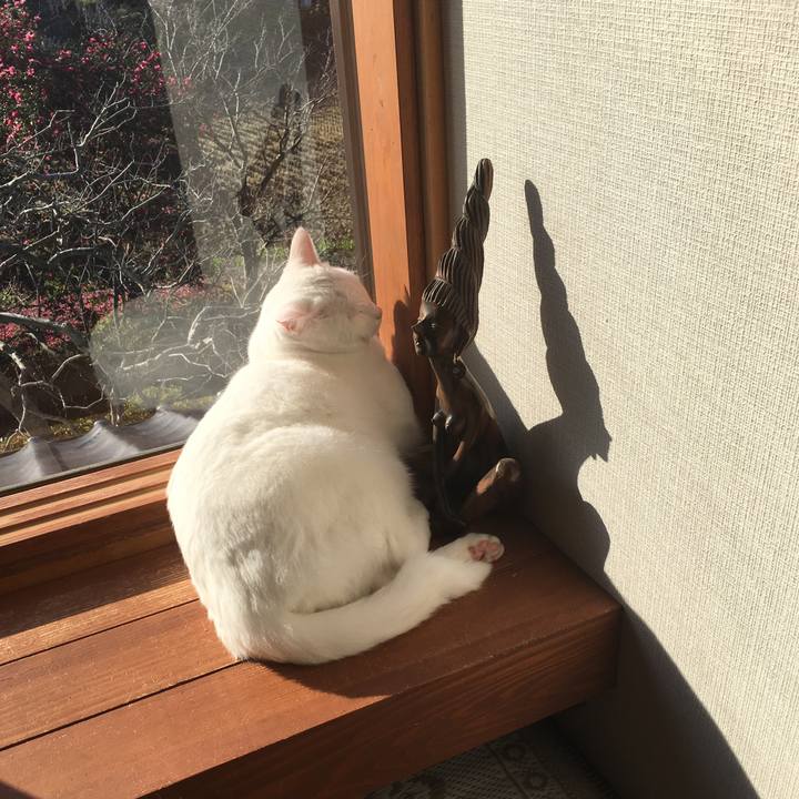 11208841 85fc 4e84 bc2f 9ae4698cabbe 1545180102750