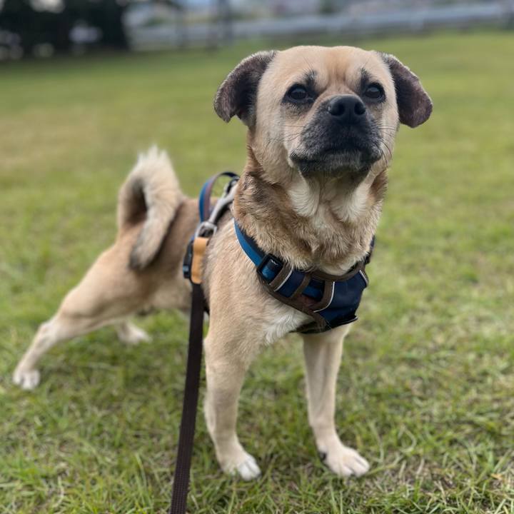 1120ac51 e910 406c a7fc 46be417010ad 1763620935615