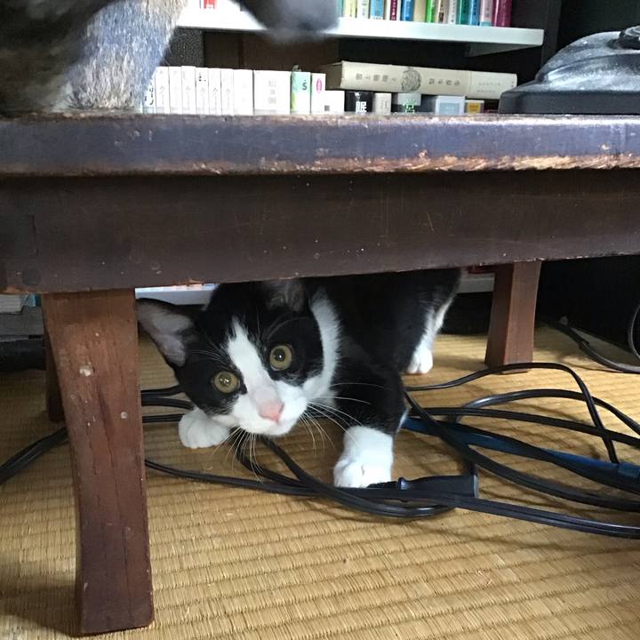 1120b347 a29c 46d2 b425 42555048f4c5 1631787180012