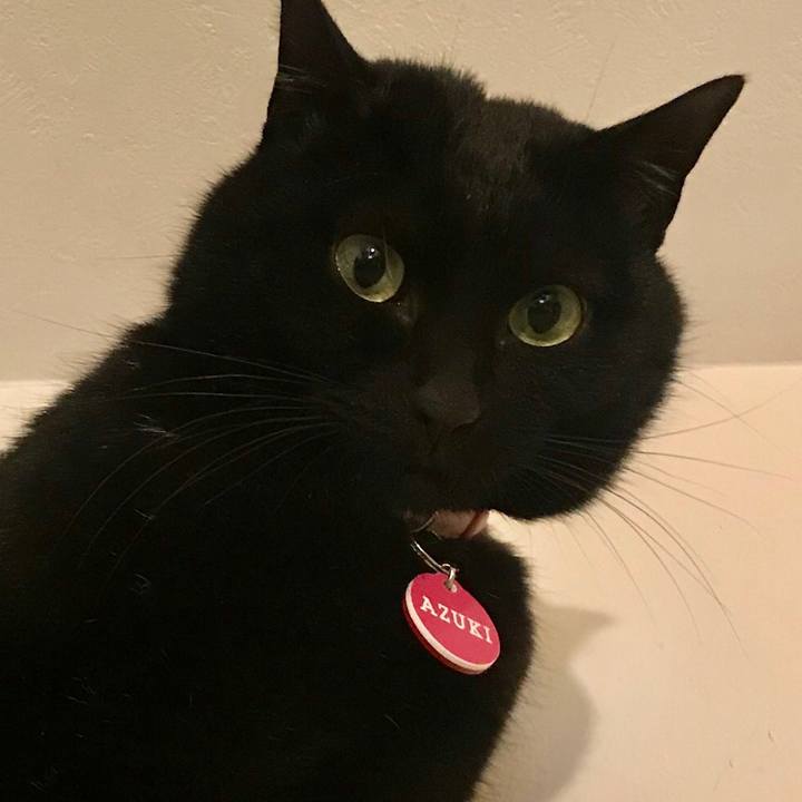 1120e06e 35f4 486f a83b 451007a943f2 1550227092990