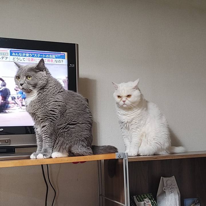 1120ec8a d0a7 48e4 8324 a61062cf093a 1716284402253