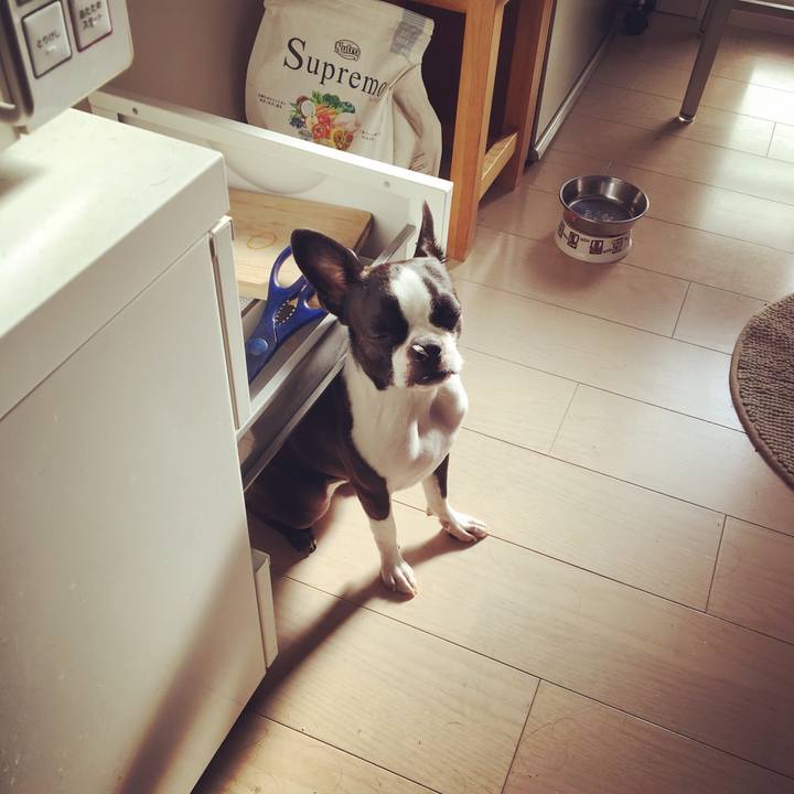 1120f731 d394 4238 bb57 63e35a56c669 1522905508379