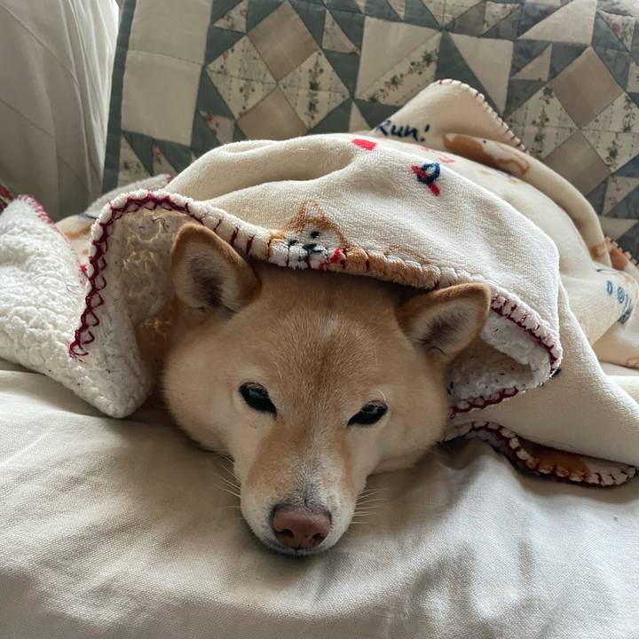 1120fa04 2d05 4dc3 b3ca be27a83184ed 1704029434604