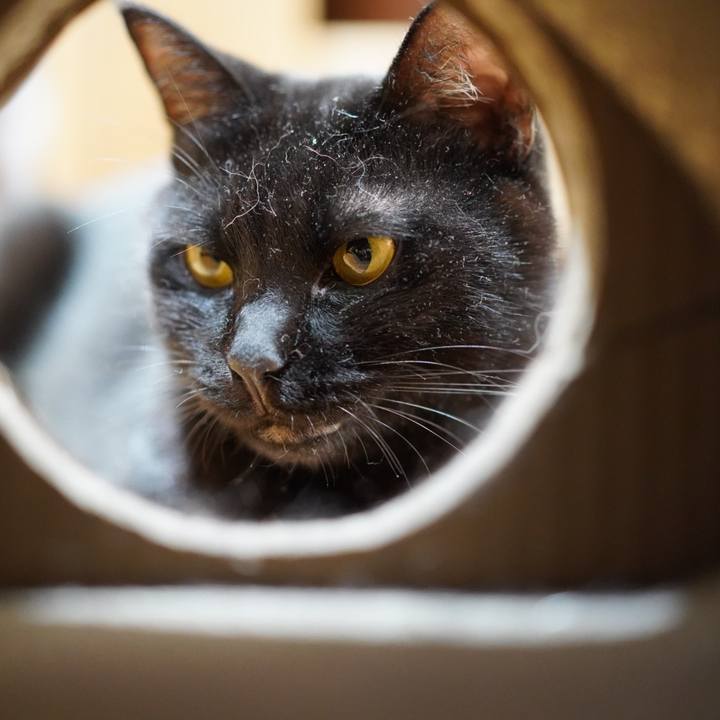 1120fe01 6560 49d9 9d08 80d269918d39 1566744337193