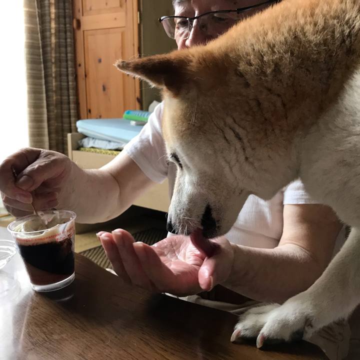 11211c8a 212d 4dc3 8738 6552d1979fb4 1562066905052