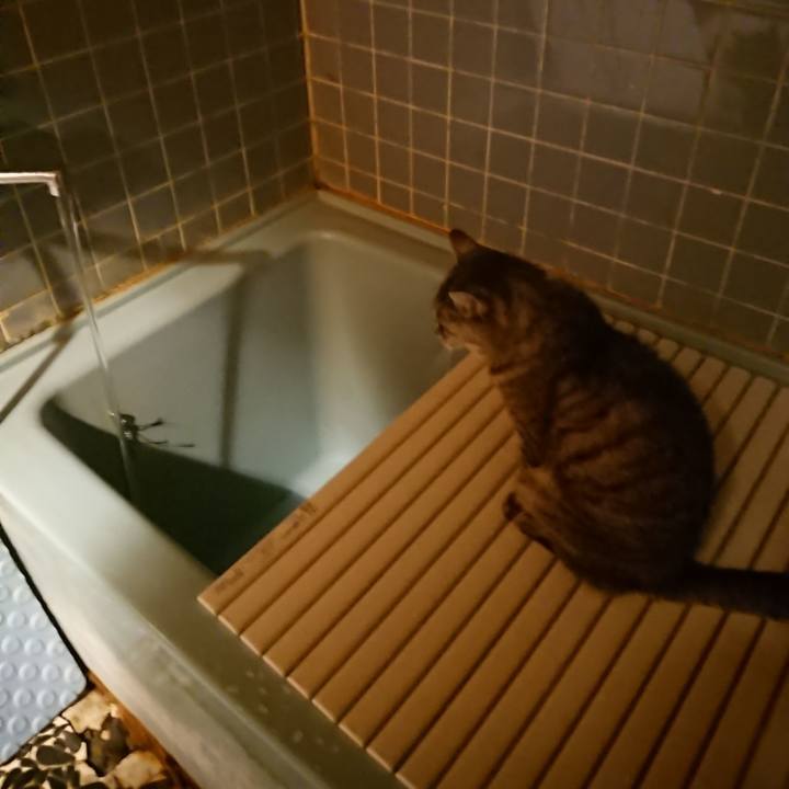 11211fb7 fd55 4161 a68b 5ed985cab36a 1570439860302