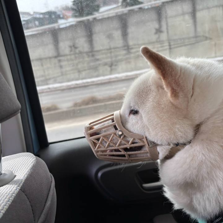 11212398 bebd 4610 87f4 94744eddaee2 1741136638028