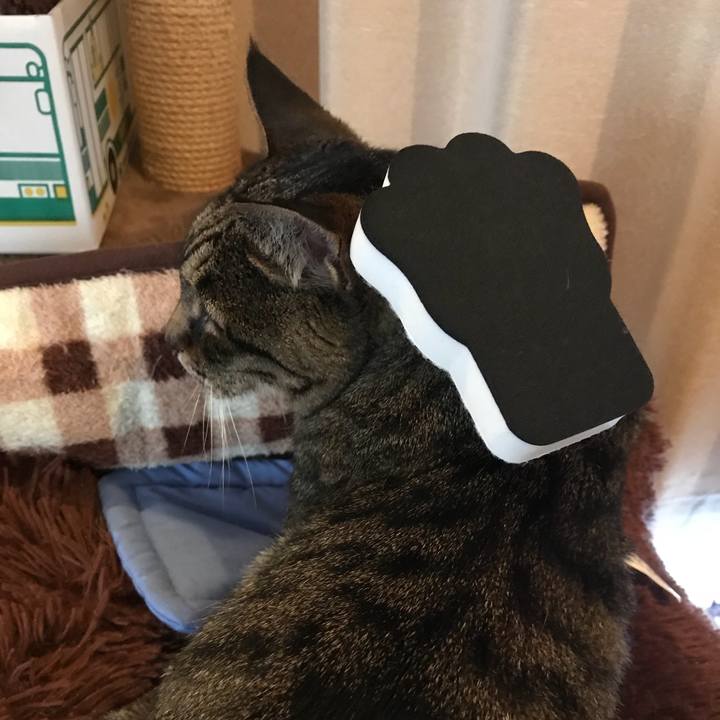 1121397a 60f4 459b 8a8b 1eb0ceb9d7a6 1533716866654