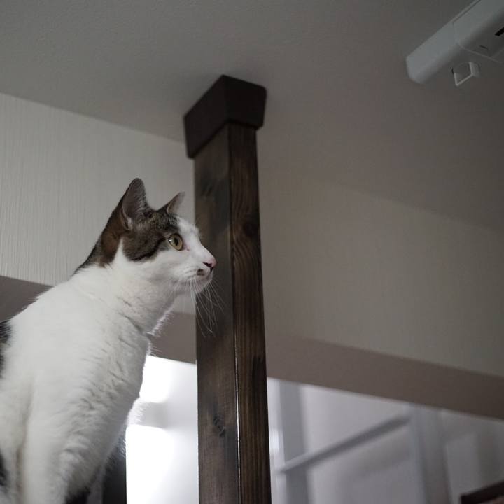 11213c07 4f8d 4599 a8a7 51fd7cae0a69 1529674122265