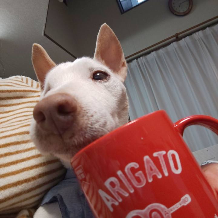 112161bf 3bea 476f accb d9276d39c9a1 1576881258265