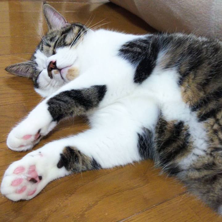 11217207 0c5c 4e57 85e0 f652f4ef35aa 1631617443704