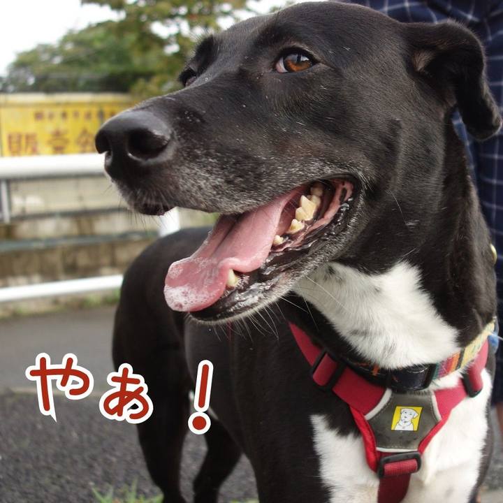 11219db7 6cc9 427d 8cba b07dccb0abda 1631664507220