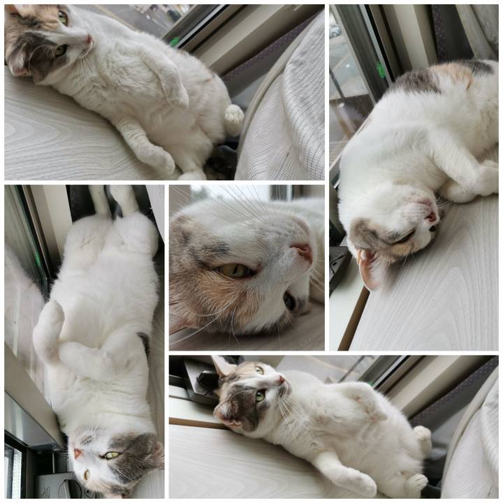 1121a560 ff13 4338 bf29 69d91944cdf1 1663647141670