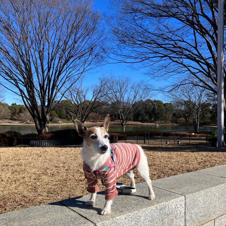 1121bf4c 6a22 494c 82c3 7b86d7abcc34 1704929402382