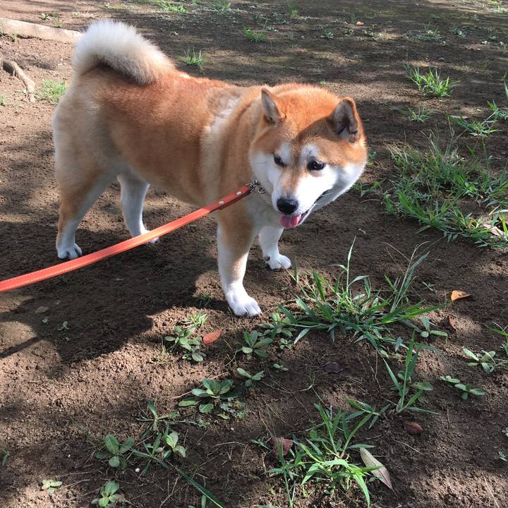 1121e6f9 2bba 4068 86df 1bc1d46d920a 1600130198844