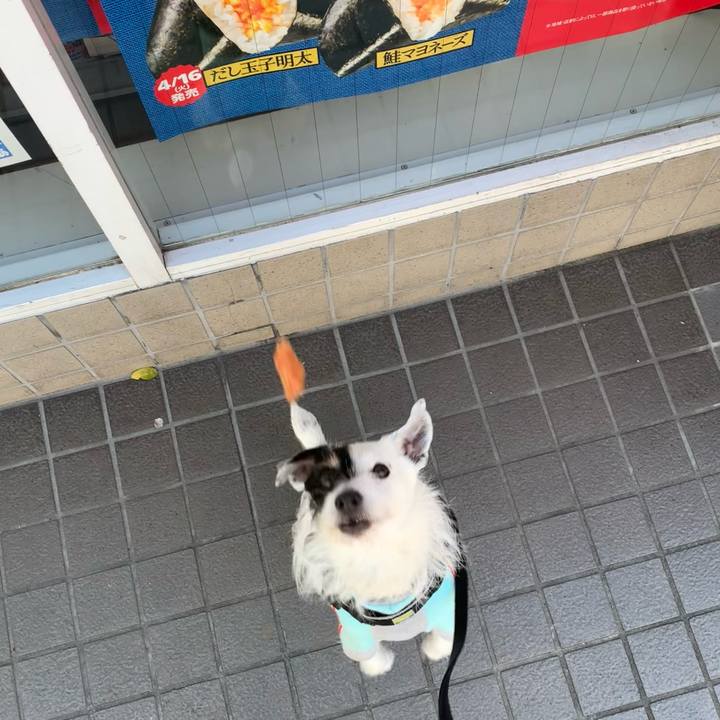 11224229 0f7b 4f5d 9099 bc7e62633e0c 1712710262108