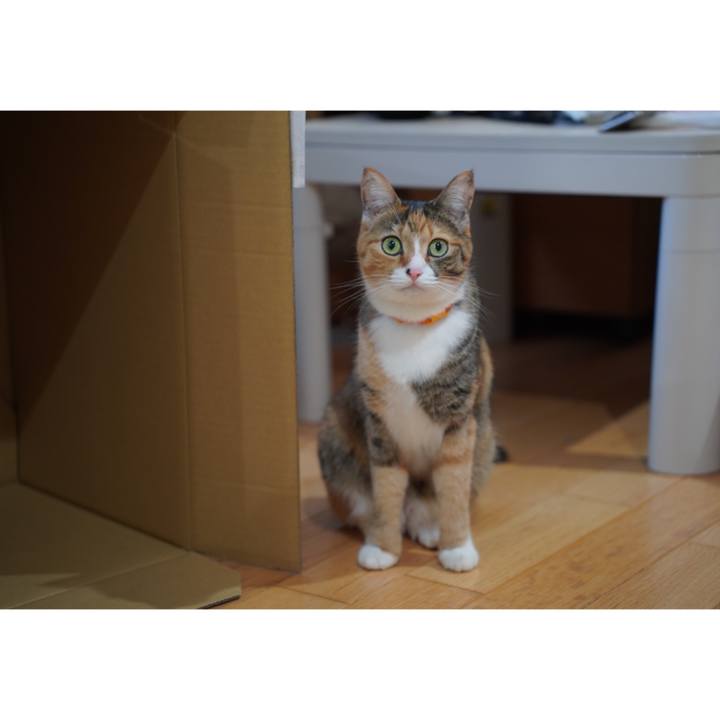 1122476e 5169 4e4a 9109 1af25c3da4ff 1669120417960