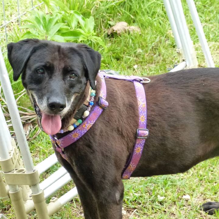 11224cb6 42a9 4a06 971f e452239d5634 1536144121161