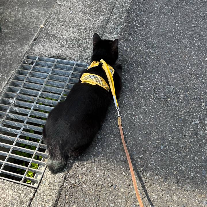 11224ed2 64f9 41ed 9275 f3f93f753284 1648443540649