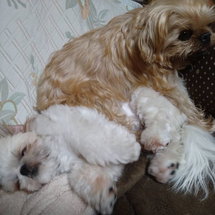 11226a59 3169 48b9 9727 3b9fd7373c35 1609067516355