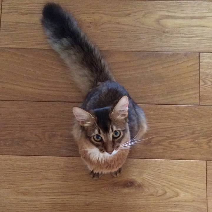 11227c58 778e 42a9 9cf4 3ae5fbb59929 1567648559107