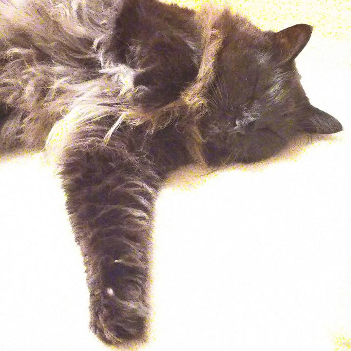 11228971 2020 48b7 8a98 681646f5c3c6 1517230990230