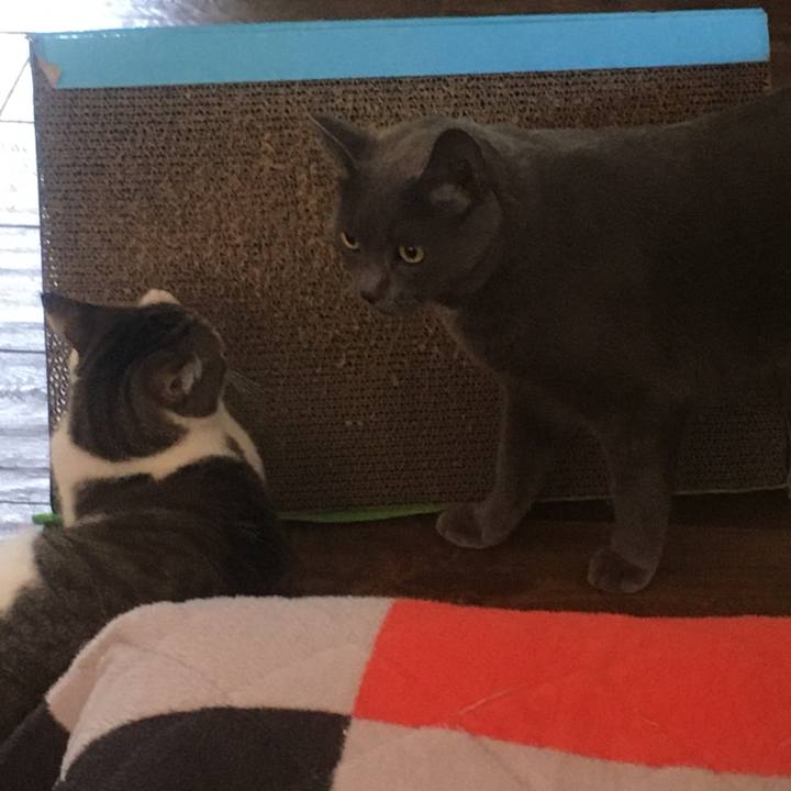 1122eb87 3013 4c56 953a 1f1be913d17b 1657153746572