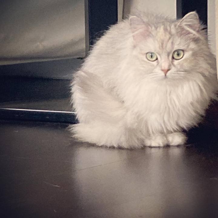 112314b2 9eee 48bb 9d7a f54287d99db5 1648561429801