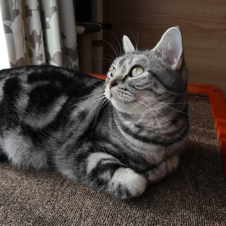 112328a3 0ad9 4022 9c37 da7e6542f44e 1612084030287