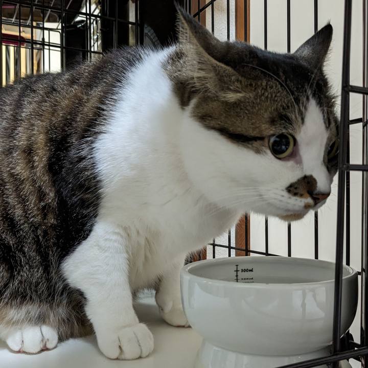 11233ab2 eb35 442a b755 d16a2140ac8e 1711795482754