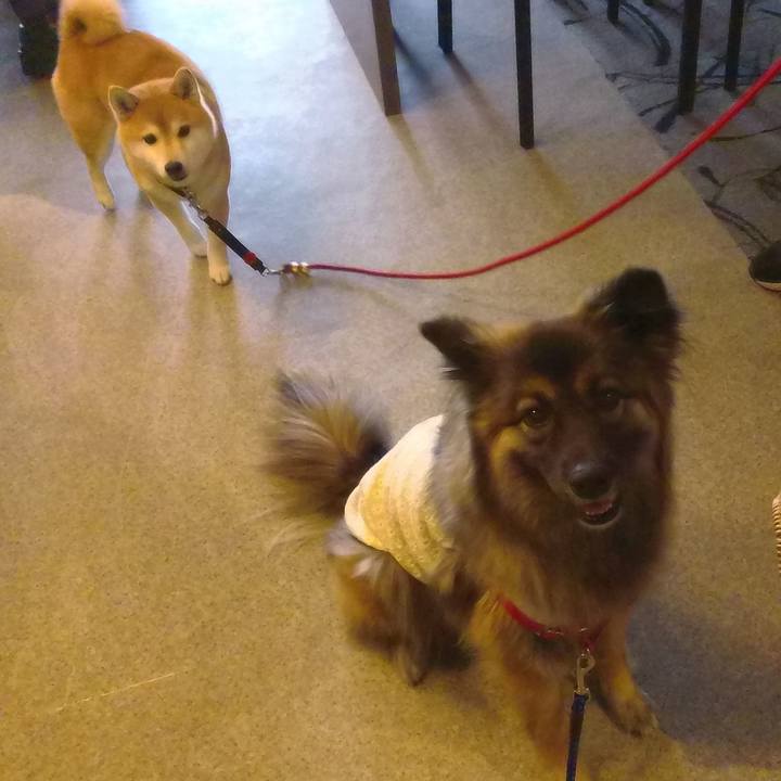 112348dd 5a42 4817 a14c 64b4b315dc03 1769237598089