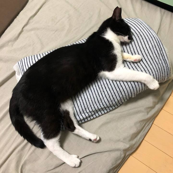 112363fc b9fc 46c2 92b5 485bbe5128e1 1530974707776