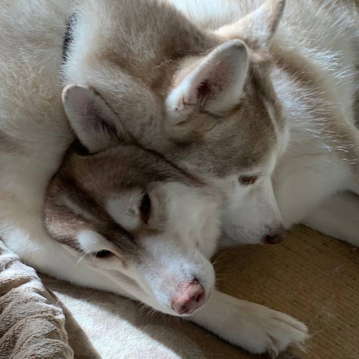 11236784 9adf 411d a9ab 71f4c1af83f6 1577442232706