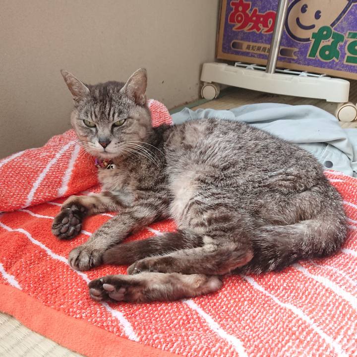 1123a06b 2baf 4e43 919a 33534ddaf9fd 1592603395808