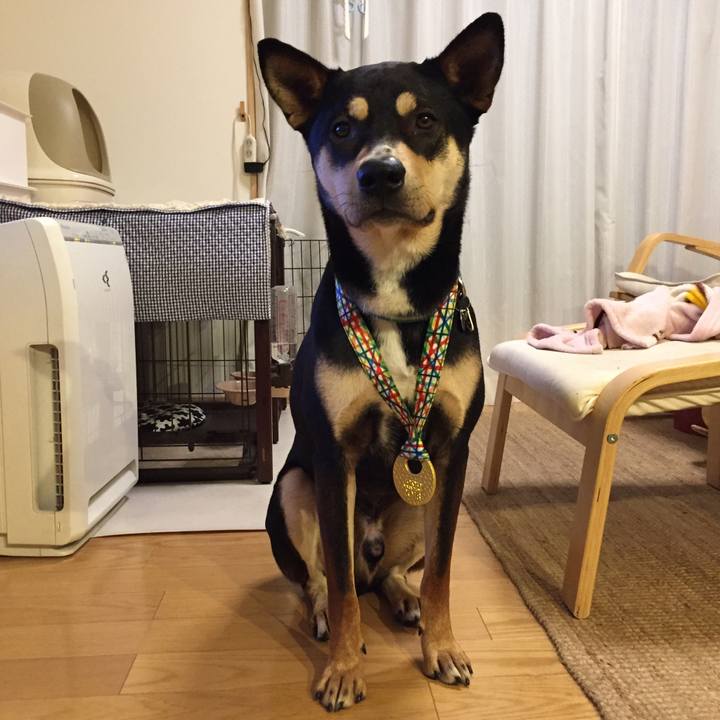 1123fdbc d4ef 4cf2 9d28 8e748b0dda83 1519566203725