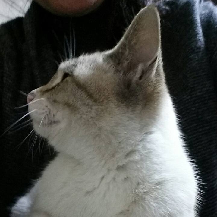 11241490 c0a5 4751 9a57 8ff75b571ab1 1517144433718