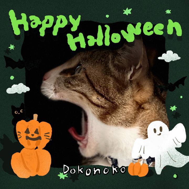 112432cb 75d6 40f8 9e06 bf1d9bbb8278 1729785886493