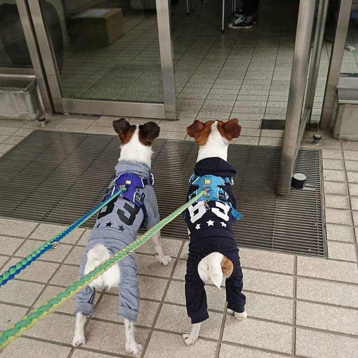 11244e06 4827 43ae 8791 52465634d29b 1610942513741