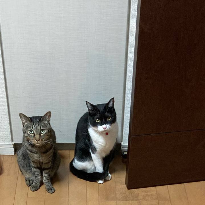 1124507b 787d 47d9 b396 b380688d4358 1642846260636