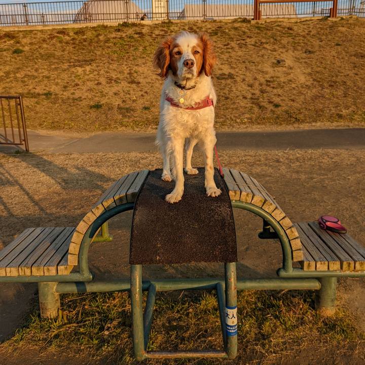 112480d6 e9ac 4805 80c1 a88f22756a0e 1643967038553