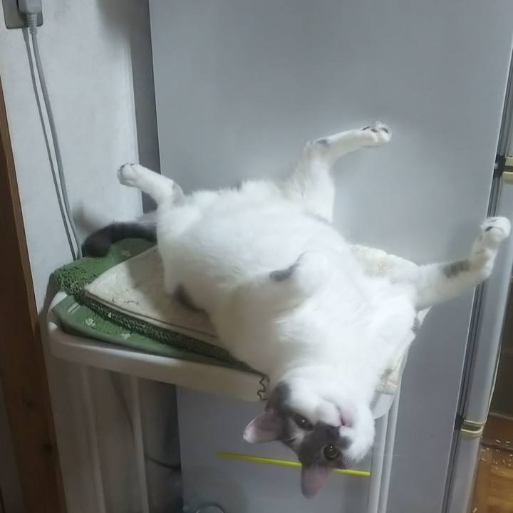 1124a699 9c7d 49b1 9724 b3670641335e 1591879475577