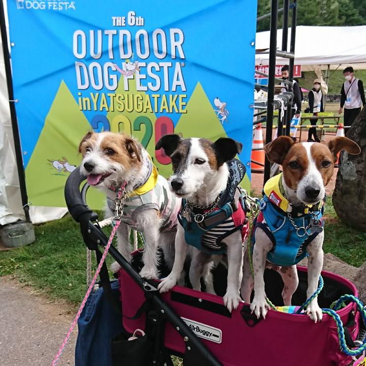 1124b30c cd1e 4290 b833 8b534bd95c3a 1600656601102