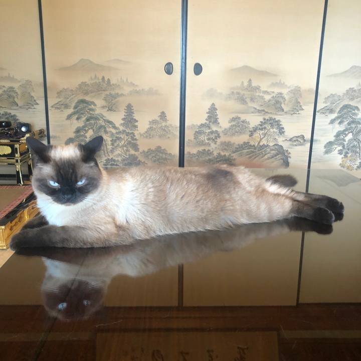 1124fcdf 8189 4f5f bba3 00dae4795245 1624671658041